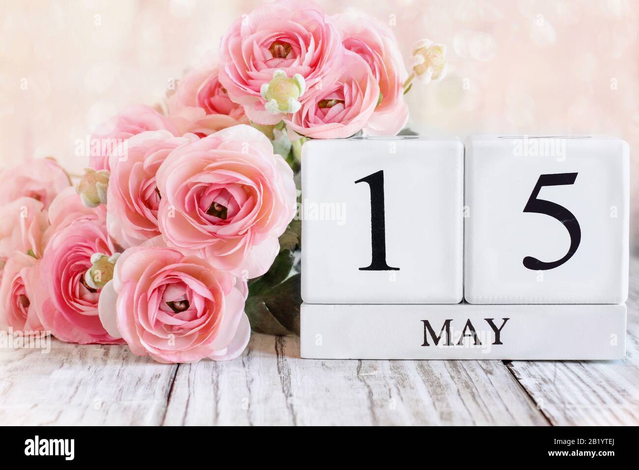 Weiße Holzkalendarkaden mit dem Datum 15. Mai. Selektiver Fokus mit pinkfarbenem Ranunculus im Hintergrund über einem Holztisch. Stockfoto
