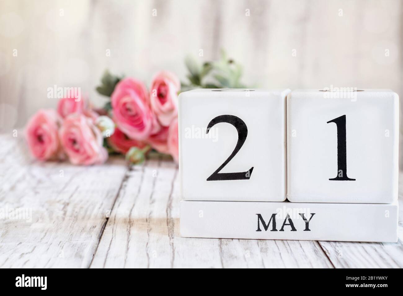 Weiße Holzkalendarkaden mit dem Datum 21. Mai. Selektiver Fokus mit pinkfarbenem Ranunculus im Hintergrund über einem Holztisch. Stockfoto