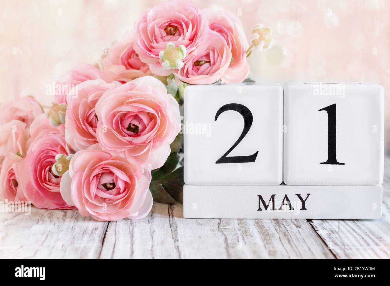 Weiße Holzkalendare mit dem Datum 21. Mai und rosafarbene Ranunculus Blumen über einem Holztisch. Selektiver Fokus mit verschwommenem Hintergrund. Stockfoto