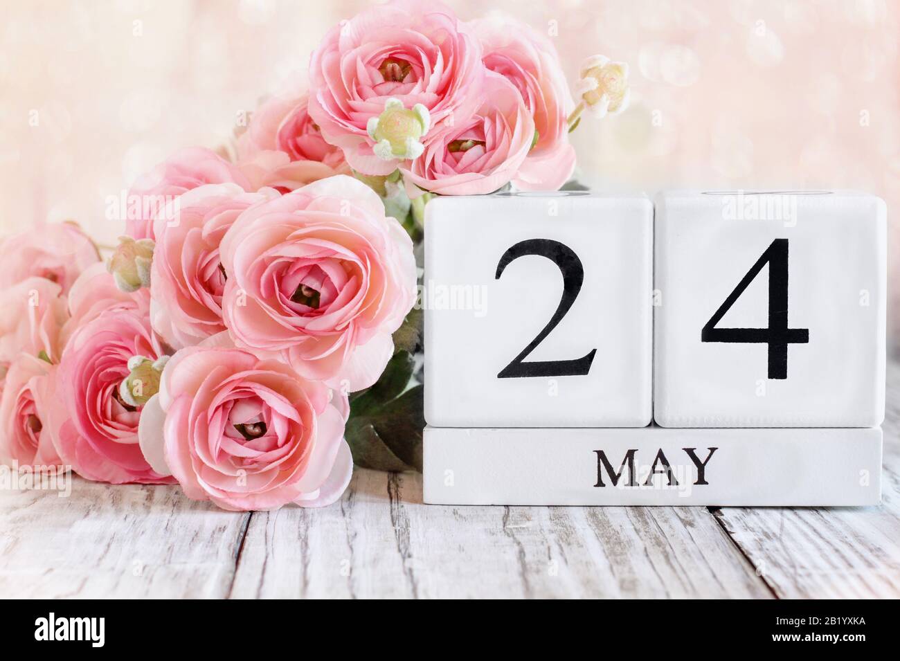Weiße Holzkalendare mit dem Datum am 24. Mai und rosafarbene Ranunculus Blumen über einem Holztisch. Selektiver Fokus mit verschwommenem Hintergrund. Stockfoto
