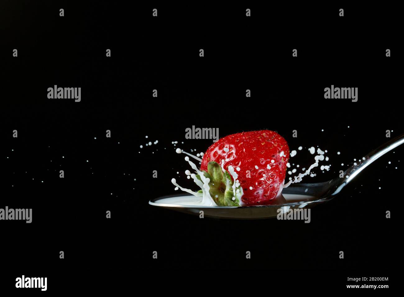 Erdbeere prallt auf einen Löffel Milch Stockfoto