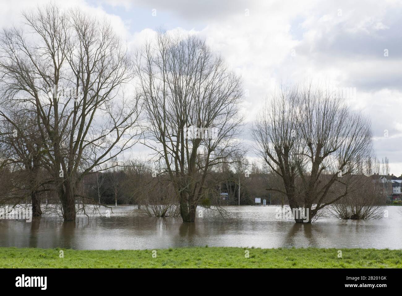 Überschwemmungen in Tewkesbury Gloucestershire, wo die Flüsse Severn und Avon aufeinandertreffen - Februar 2020 Stockfoto