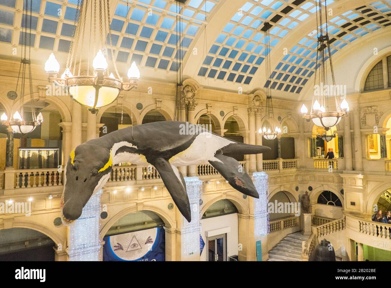 Bristol Museum and Art Gallery,Bristol Museum,Stadt,Bristol,Westernland,England,Englisch,Großbritannien,Großbritannien,Großbritannien,Großbritannien,Großbritannien,Großbritannien,Großbritannien,Großbritannien, Stockfoto