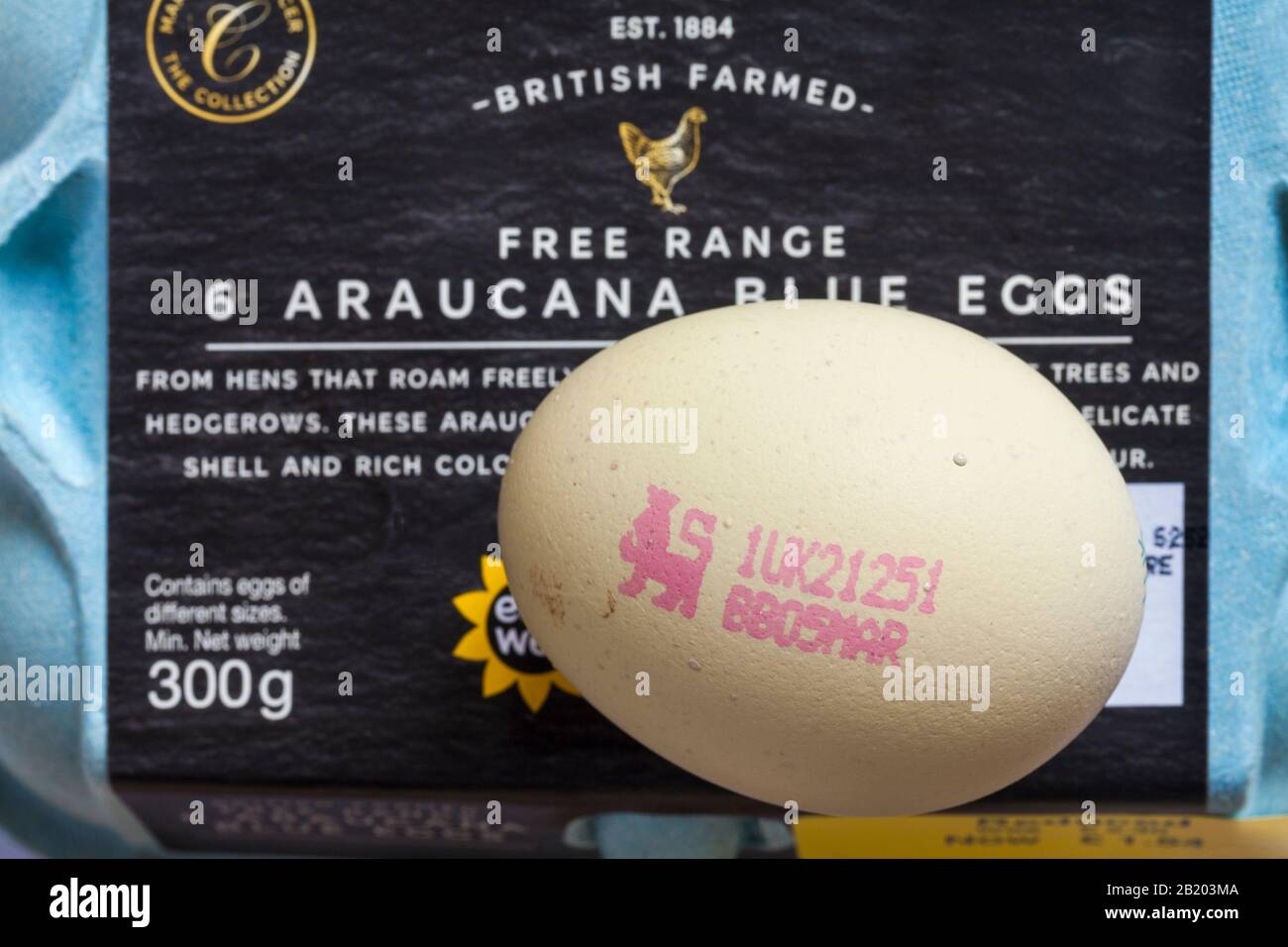 Karton mit M&S Britisch Gezüchtet 6 Freisortiment Araucana Blaue Eier mit blassblauer, zierlicher Schale, wobei ein Ei entfernt wurde, um den Eierkasten mit Löwenstempel zu zeigen Stockfoto