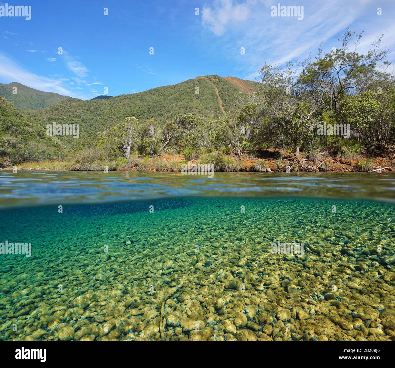 Flusslandschaft mit klarem Wasser in Neukaledonien, geteilter Blick über und unter die Wasseroberfläche, Oceania, Grande Terre, Dumbea Stockfoto