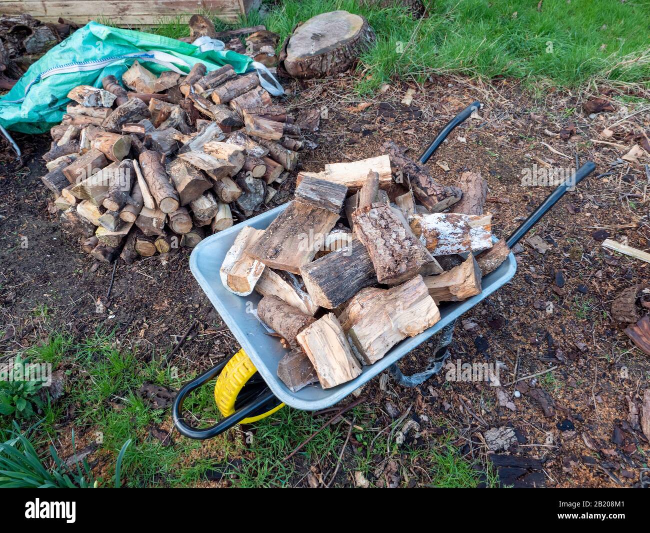 Ein Haufen gehackter nasser Holzstämme und Holzstämme in einer Schubkarre in einem Garten, der bei einem offenen Feuer in Großbritannien brennbar ist Stockfoto