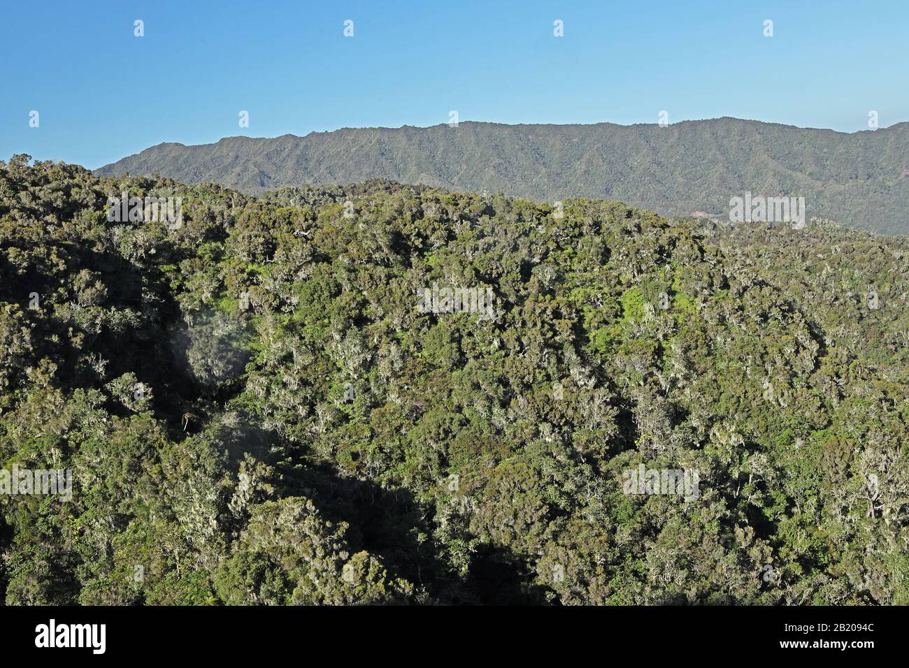 Blick über die üppigen bewaldeten Berge Reserve Naturelle de la Roche Ecrit, Insel Réunion, Indischer Ozean Dezember Stockfoto