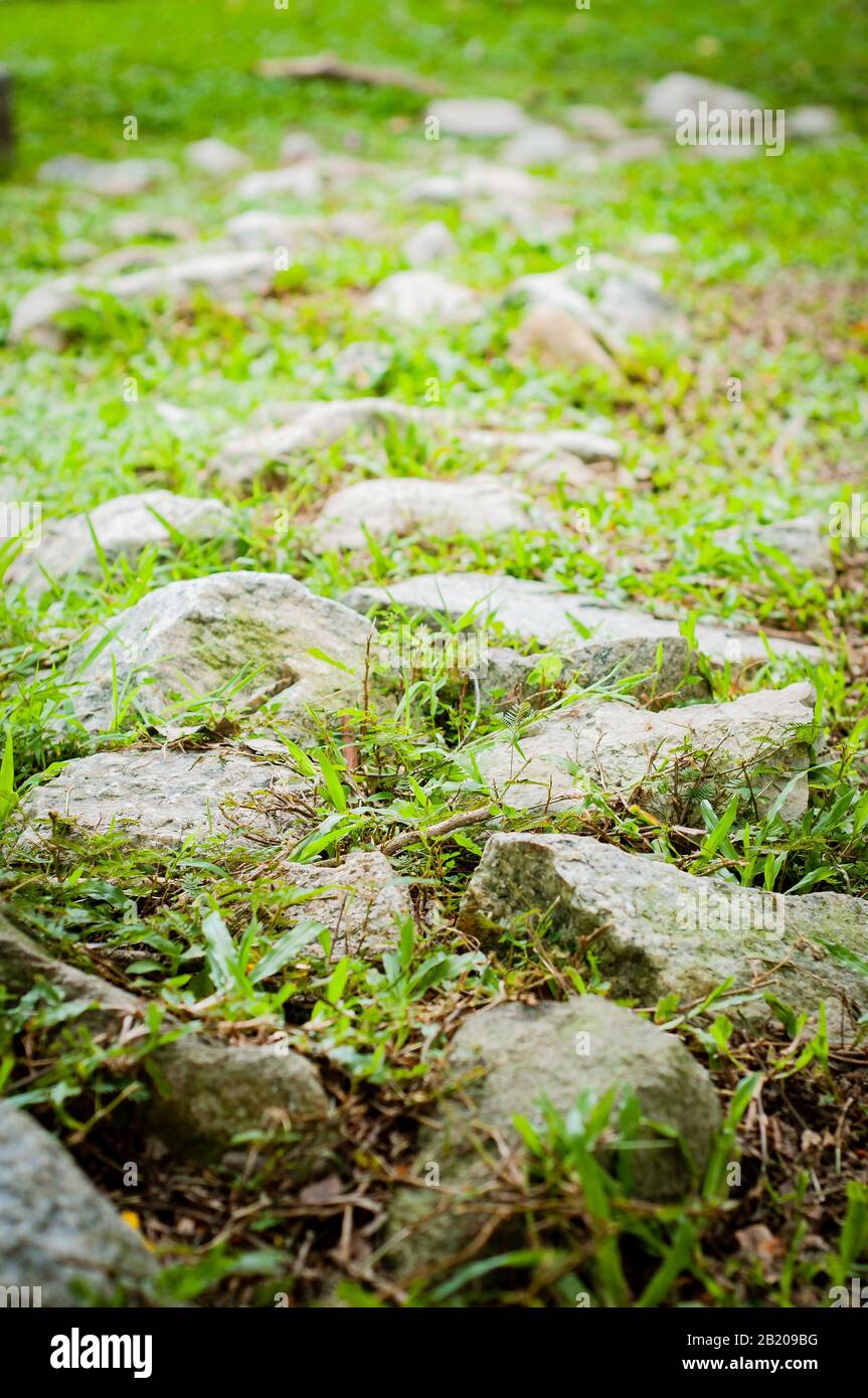 Steine und Gras im Berg. Stockfoto