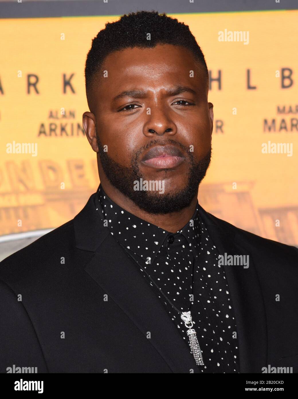 27. Februar 2020 - Westwood, Kalifornien - Winston Herzog. Netflix ''Spenser Confidential'' Los Angeles Premiere im Regency Village Theatre. (Bild: © Billy Bennight/AdMedia über ZUMA Wire) Stockfoto