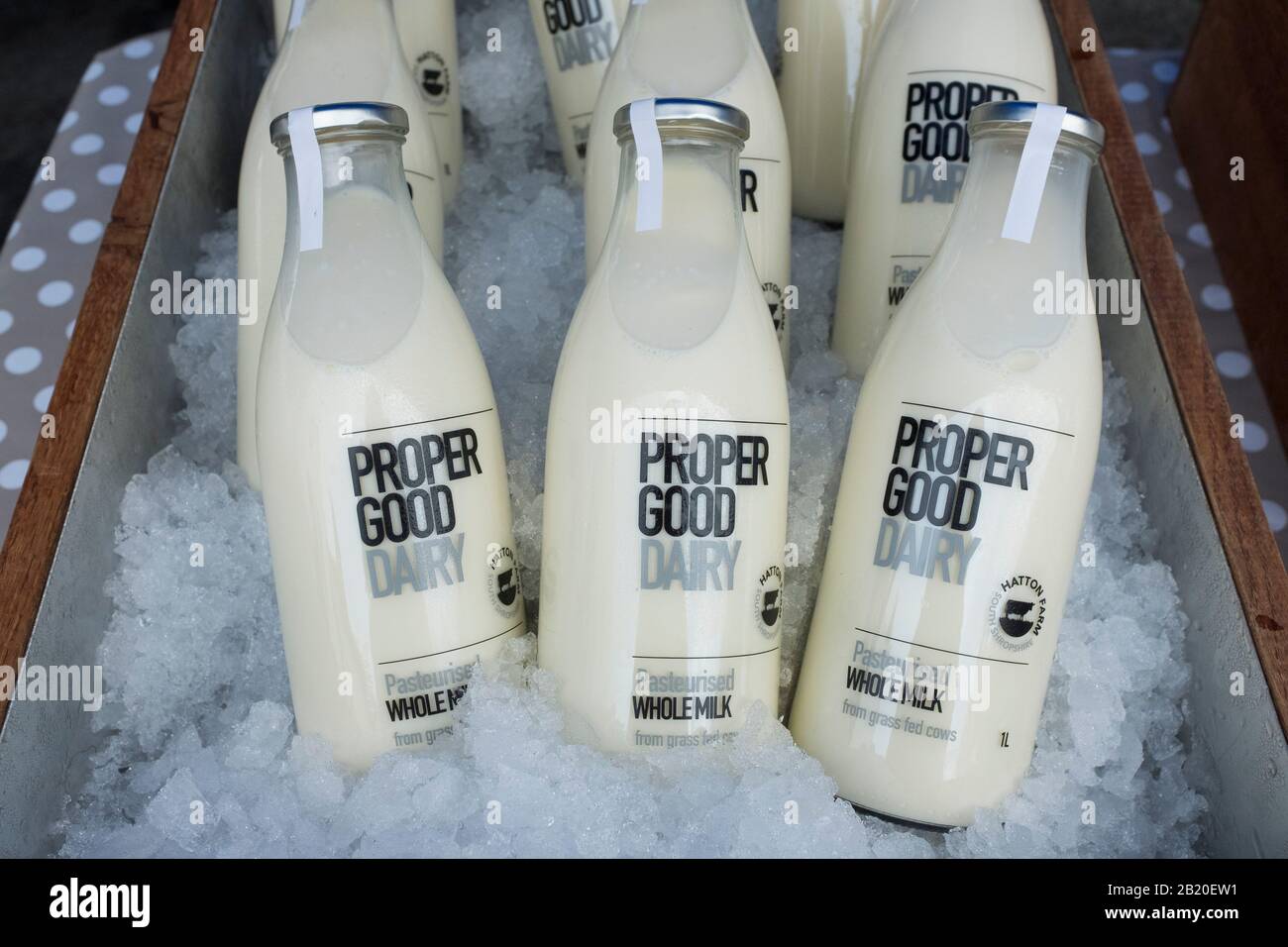 Frische organische Milch in wiederverwendbaren Flaschen aus Guter Molkerei in Shropshire, England, Großbritannien. Stockfoto