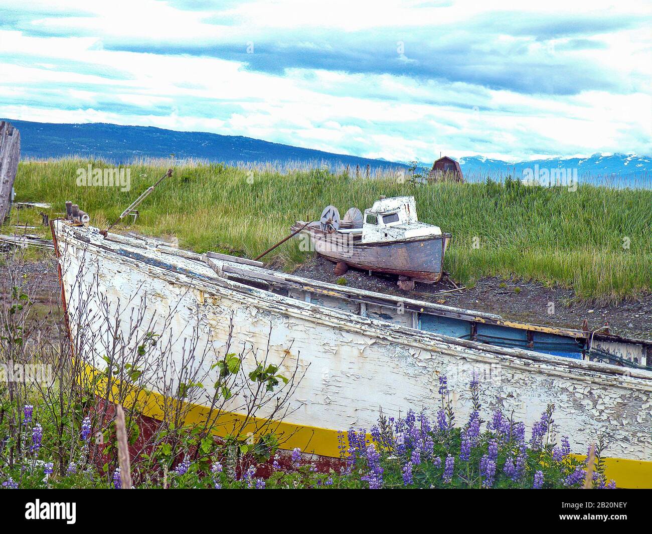 Alte verlassene Fischerboote aus Holz in der Wildnis Alaskas Stockfoto