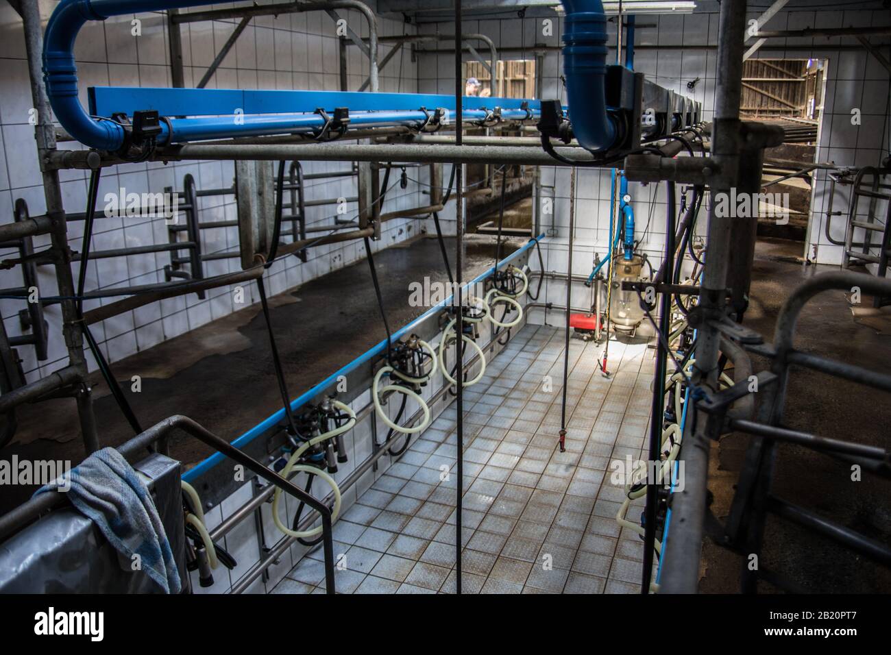 Melkmaschine auf dem Hof Stockfoto