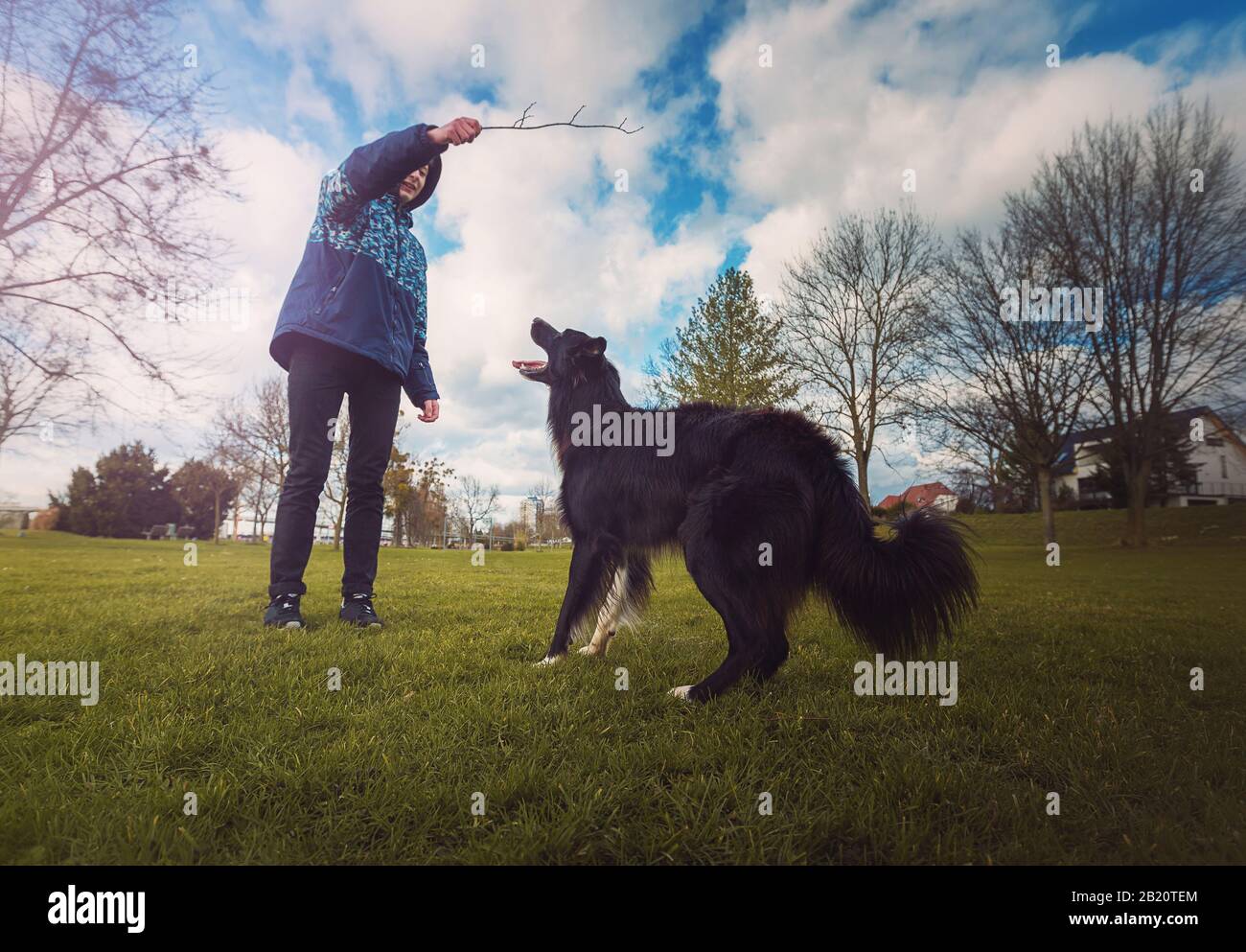 Gehorsamer reinrassiger Border Collie Hund, der im Park Spiele spielt, da der Meister bereit ist, ihm einen Stock zu werfen. Wunderbarer, gut ausgebildeter Welpe, der genießt Stockfoto