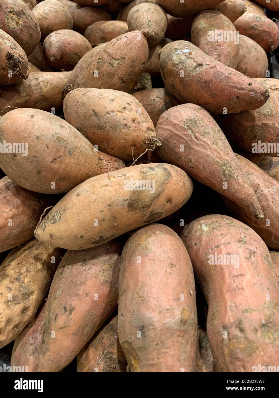 Rohe ganze Süßkartoffeln, frisches gesundes Wurzelgemüse, Panama, Mittelamerika Stockfoto
