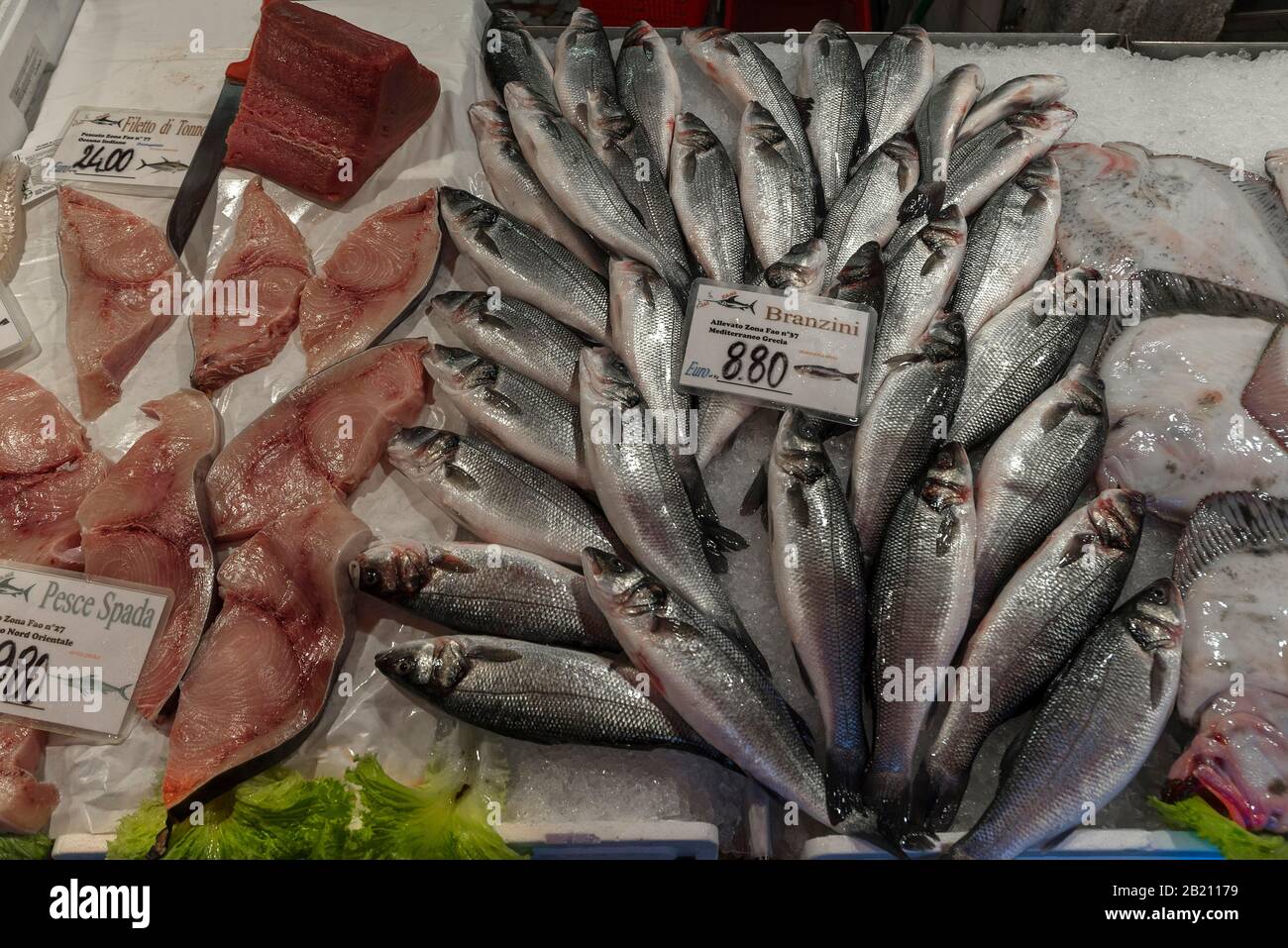 Frische Temperatasse (Moronidus) und Schwertfisch (Xiphias gladius) auf Eis, Fischmarkt, Venedig, Venetien, Italien Stockfoto