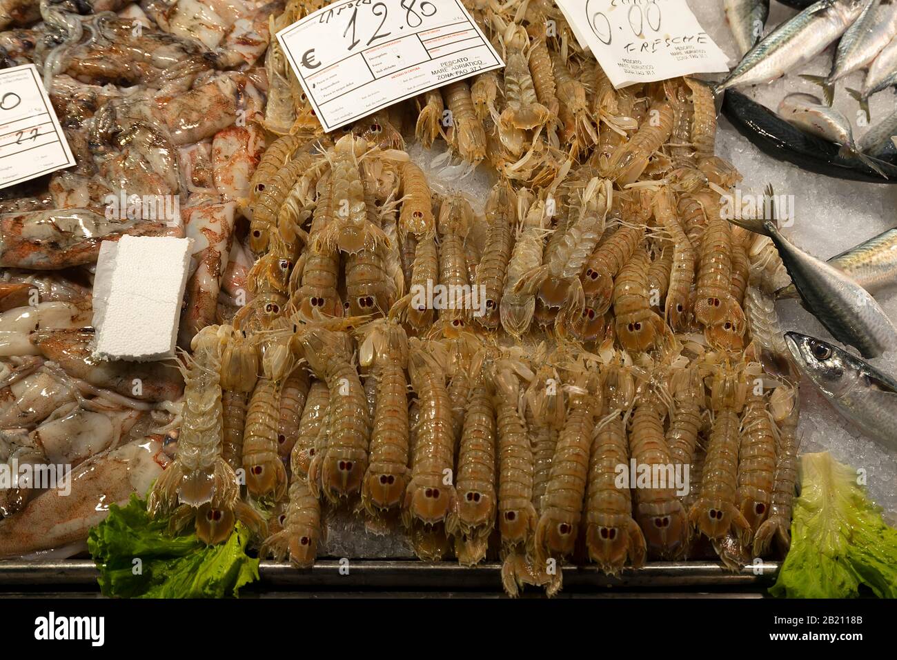 Frische Garnelen (Penaeidiae) auf Eis, Fischmarkt, Rialto-Markt im San Polo-Viertel, Venedig, Venetien, Italien Stockfoto