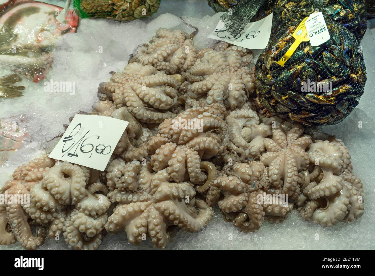 Frischer Tintenfisch (pulpo) auf Eis, Fischmarkt, Rialto-Markt im San Polo-Viertel, Venedig, Venetien, Italien Stockfoto