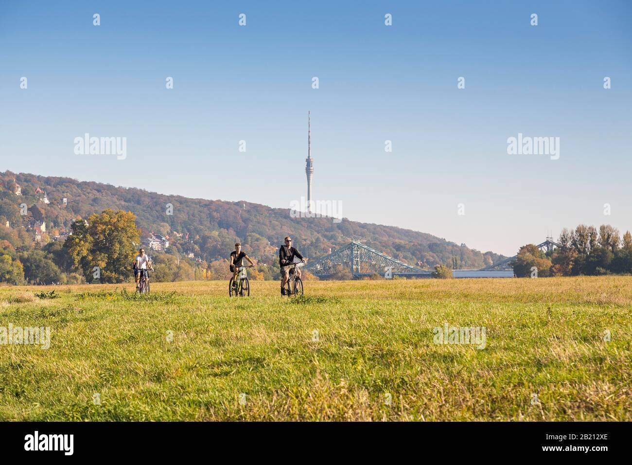 Radfahrer auf dem Elbradweg nahe dem Blauen Wunder, im Hintergrund der Fernsehturm, Dresden, Sachsen, Deutschland Stockfoto