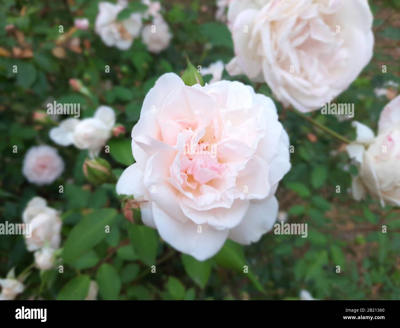 Bangladesch ist ein Land voller Rätsel und Intrigen. Das Land ist Jahrhunderte alt und hat viele Besucher über die Jahre gesehen. Stockfoto