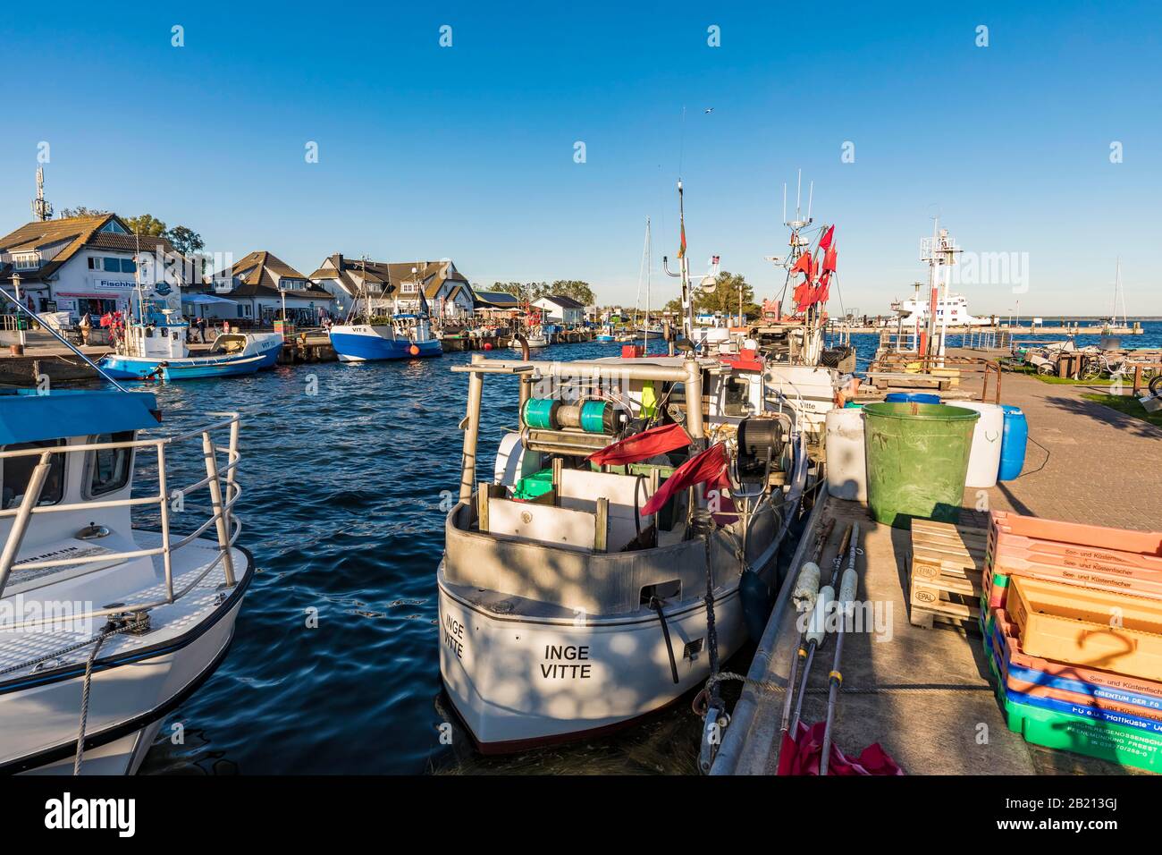 Fischerboote im Hafen, Fischkutter, Fischerhafen, Vitte, Insel Hiddensee, Mecklenburg-Vorpommern, Deutschland Stockfoto