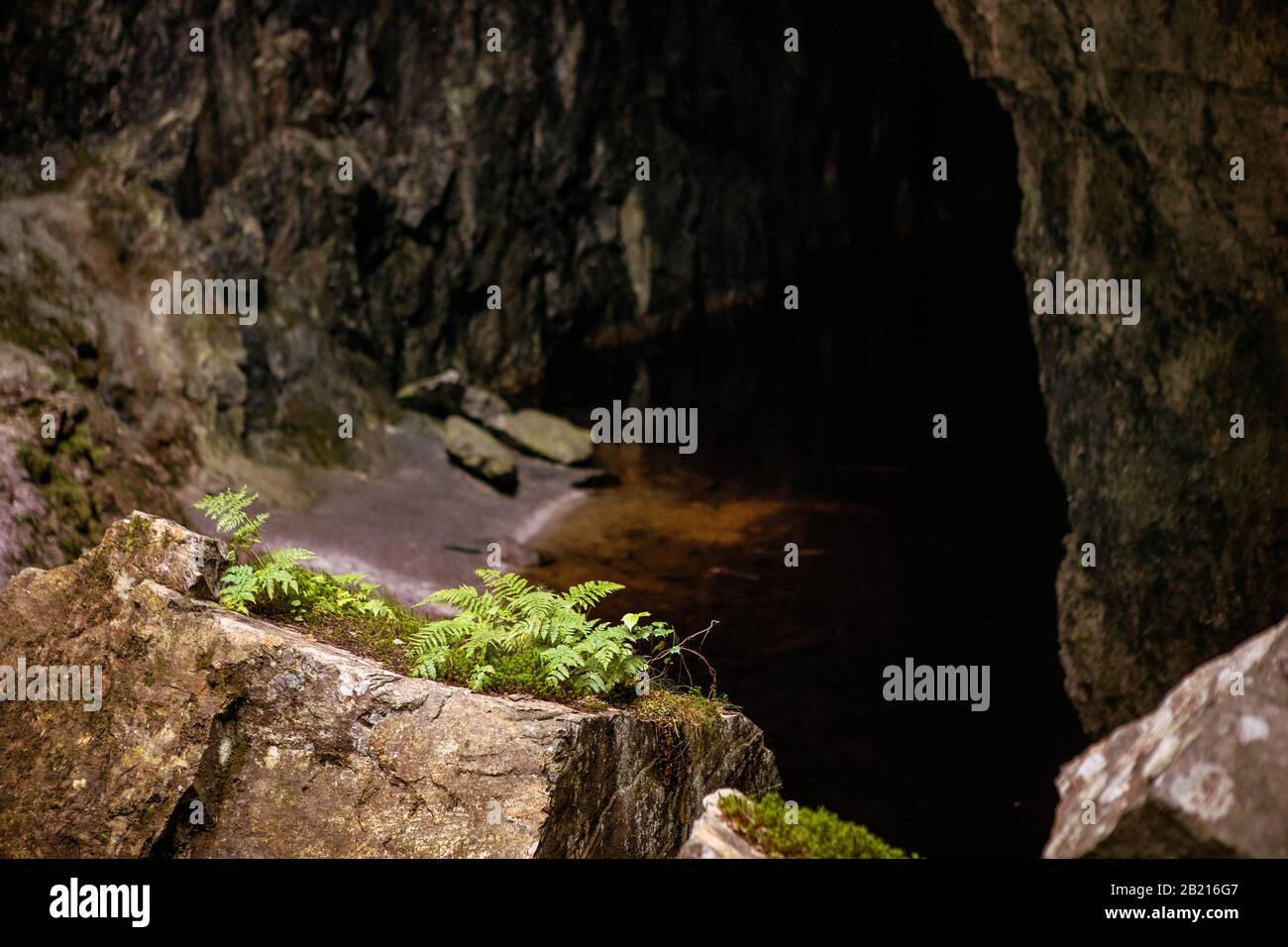 Unterirdische Landschaft. Dunkler unterirdischer See, umgeben von Felsen. Dunkelheit im Höhlenkorridor und Licht, das auf überwucherten Stein fällt. Speläologie Stockfoto