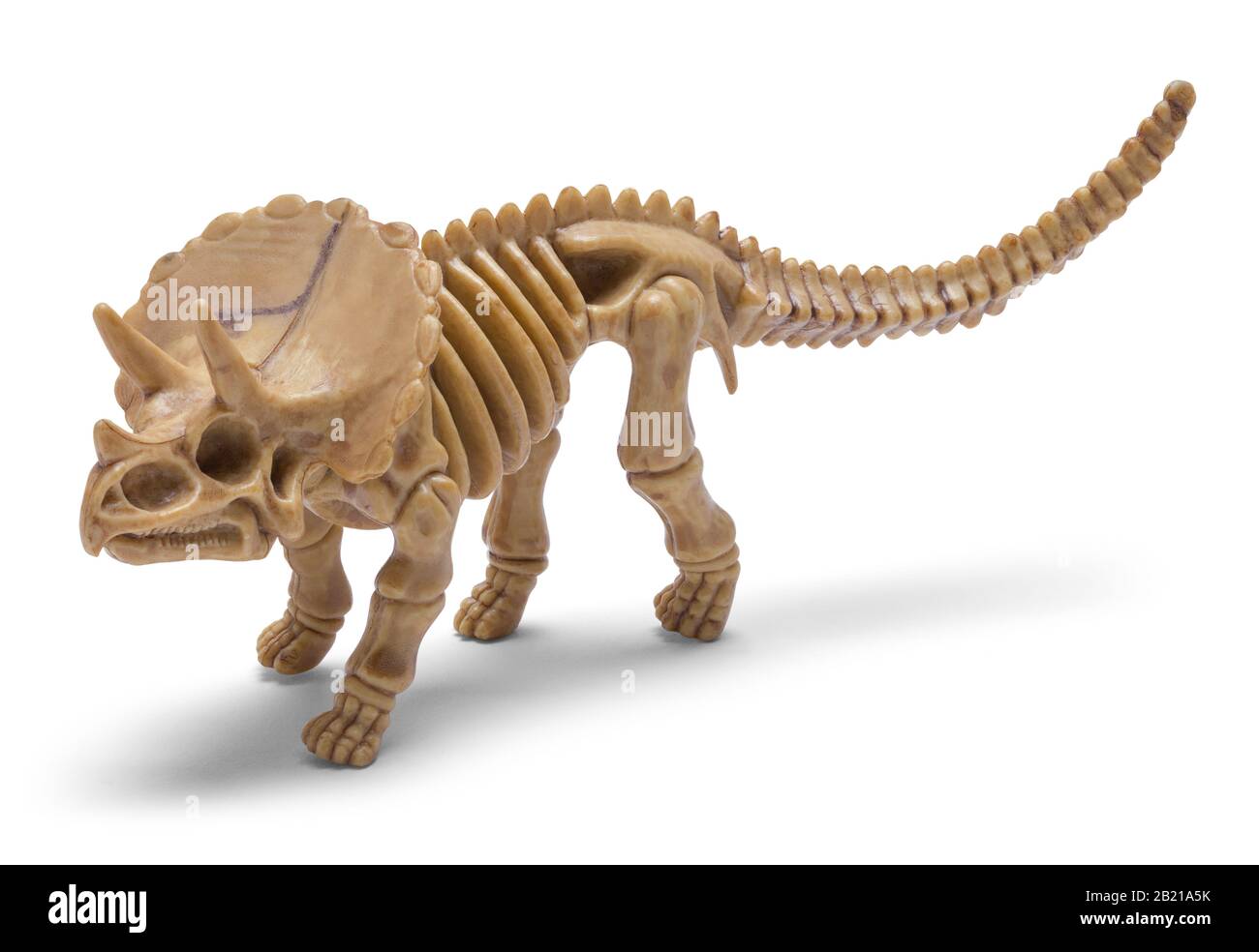 Toy Dino Skeleton Isoliert auf weißem Hintergrund. Stockfoto