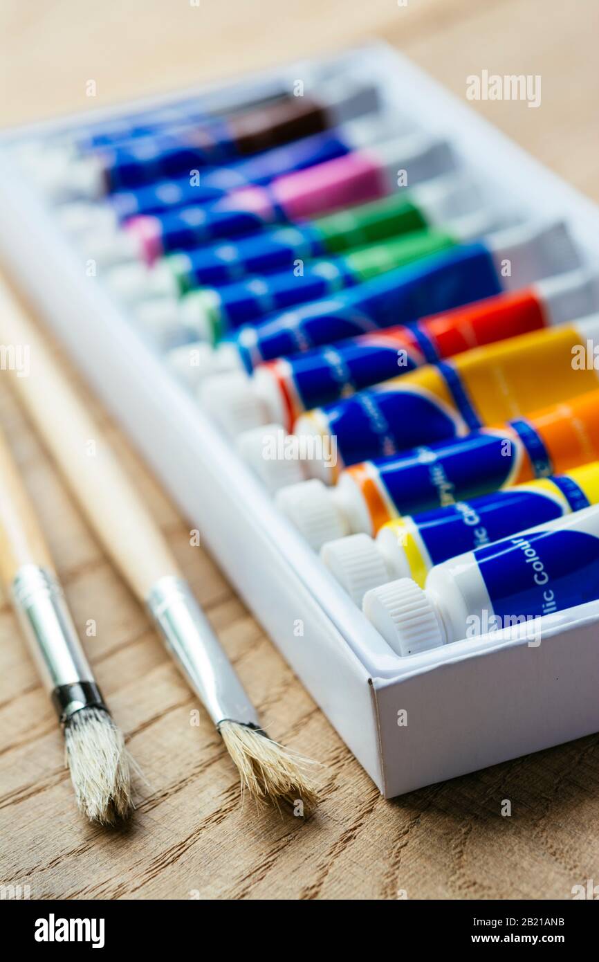 Box mit Acrylfarben und zwei Bürsten. Stockfoto