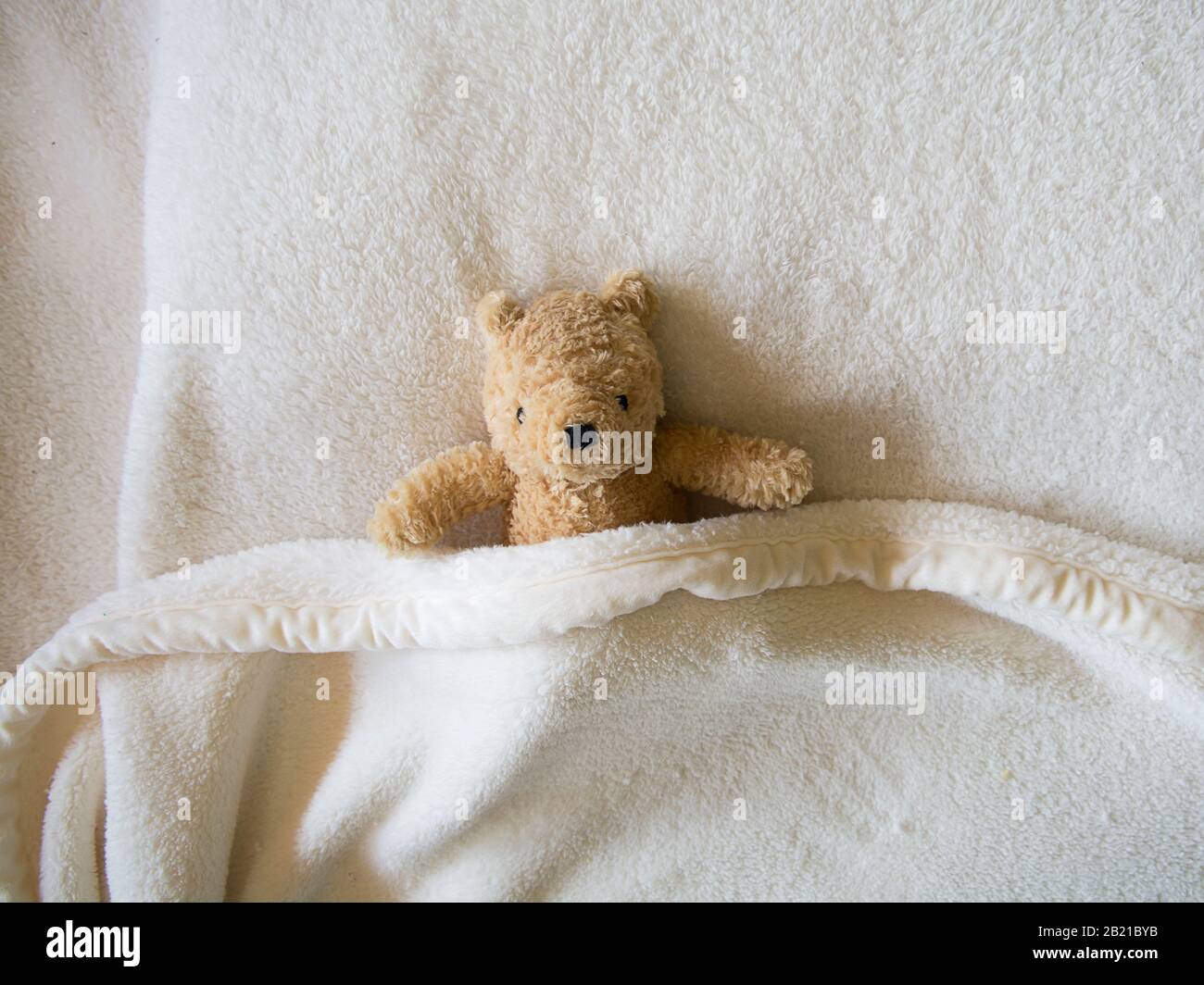 Süßer brauner Teddybär unter weicher weißer Decke Stockfoto