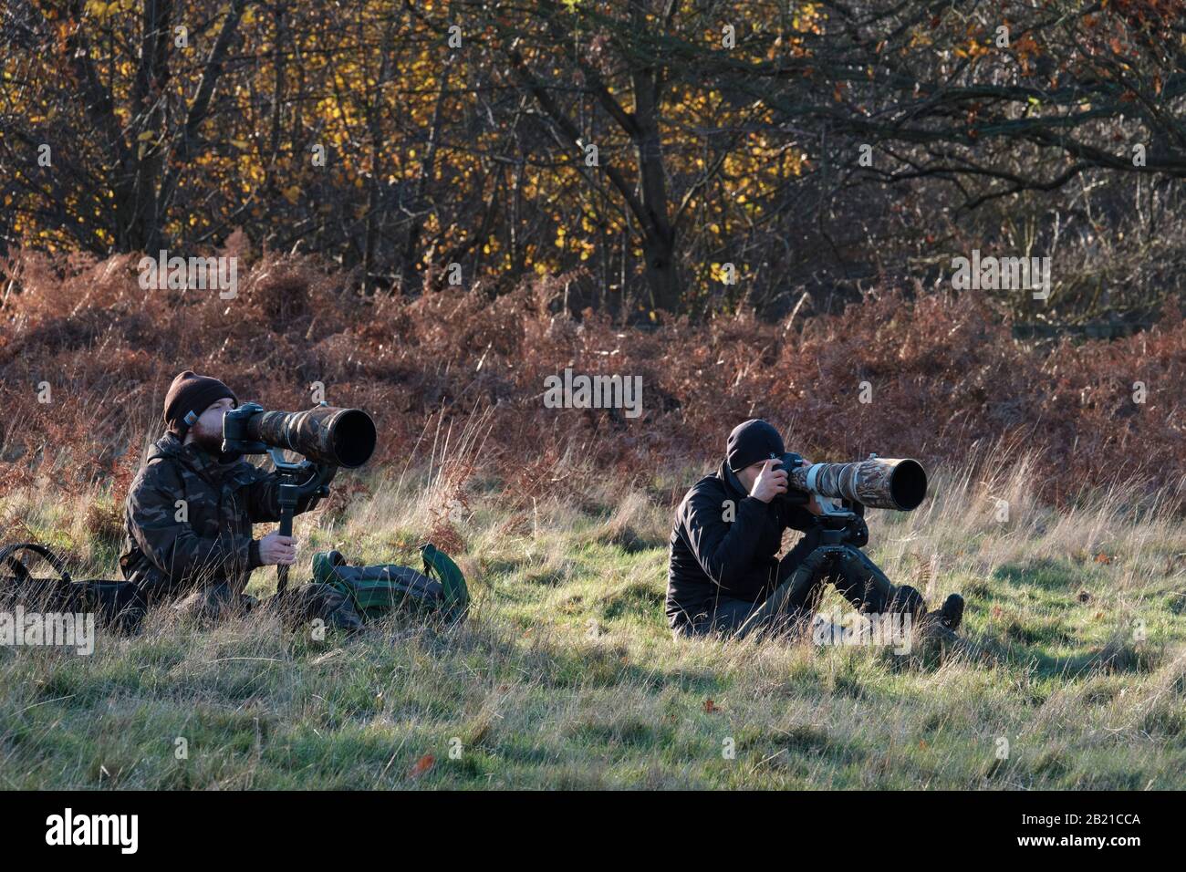 Naturfotografen mit Langen Objektiven, London Stockfoto