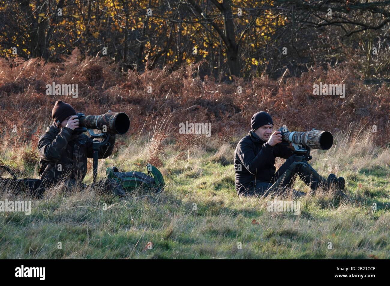 Naturfotografen mit Langen Objektiven, London Stockfoto