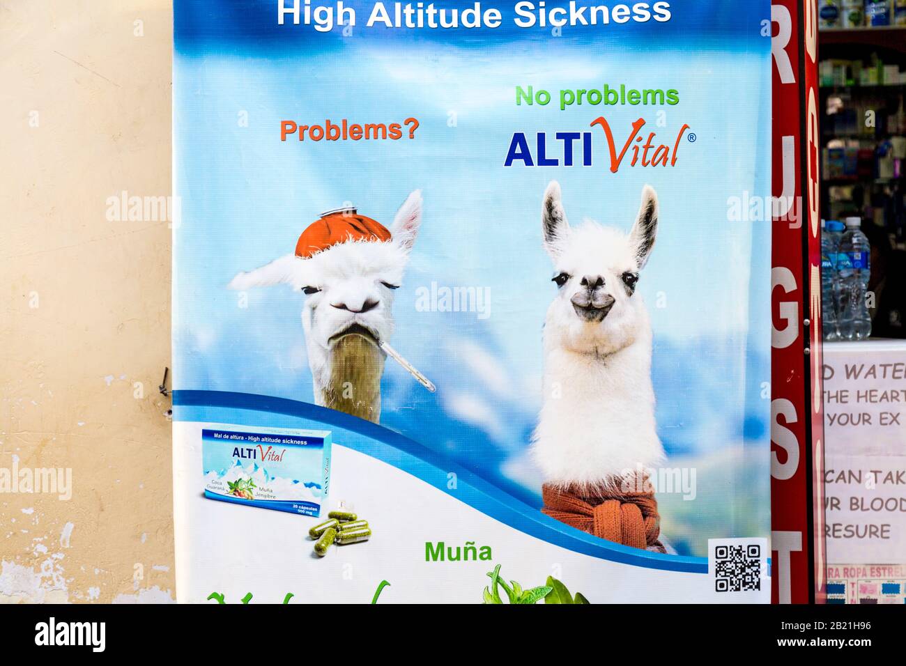 Anzeige für Medikamente gegen hohe Krankheit Alti Vital mit einem Alpaka, Cusco, Sacred Valley, Peru Stockfoto