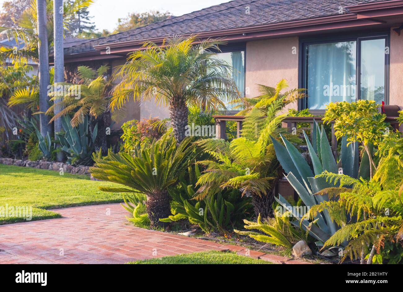 Wunderschönes Haus in Kalifornien mit einem individuell gestalteten Garten  und einem Yard mit einer Vielzahl von Pflanzen. Im Februar 2020 aus einem  öffentlichen Raum übernommen Stockfotografie - Alamy