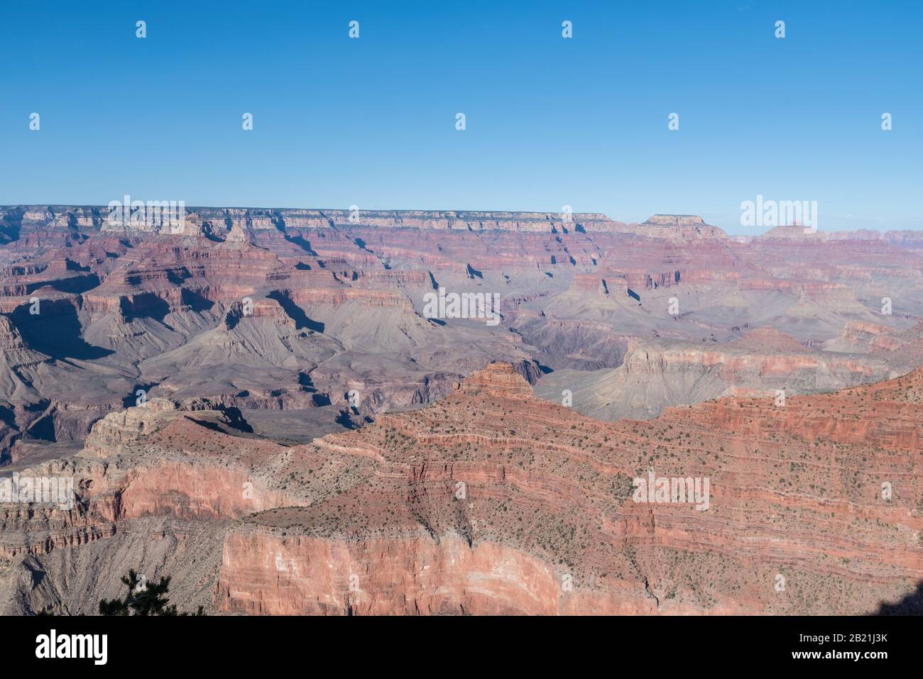 Fantastischer Blick auf den Grand Canyon Arizona United States. Stockfoto