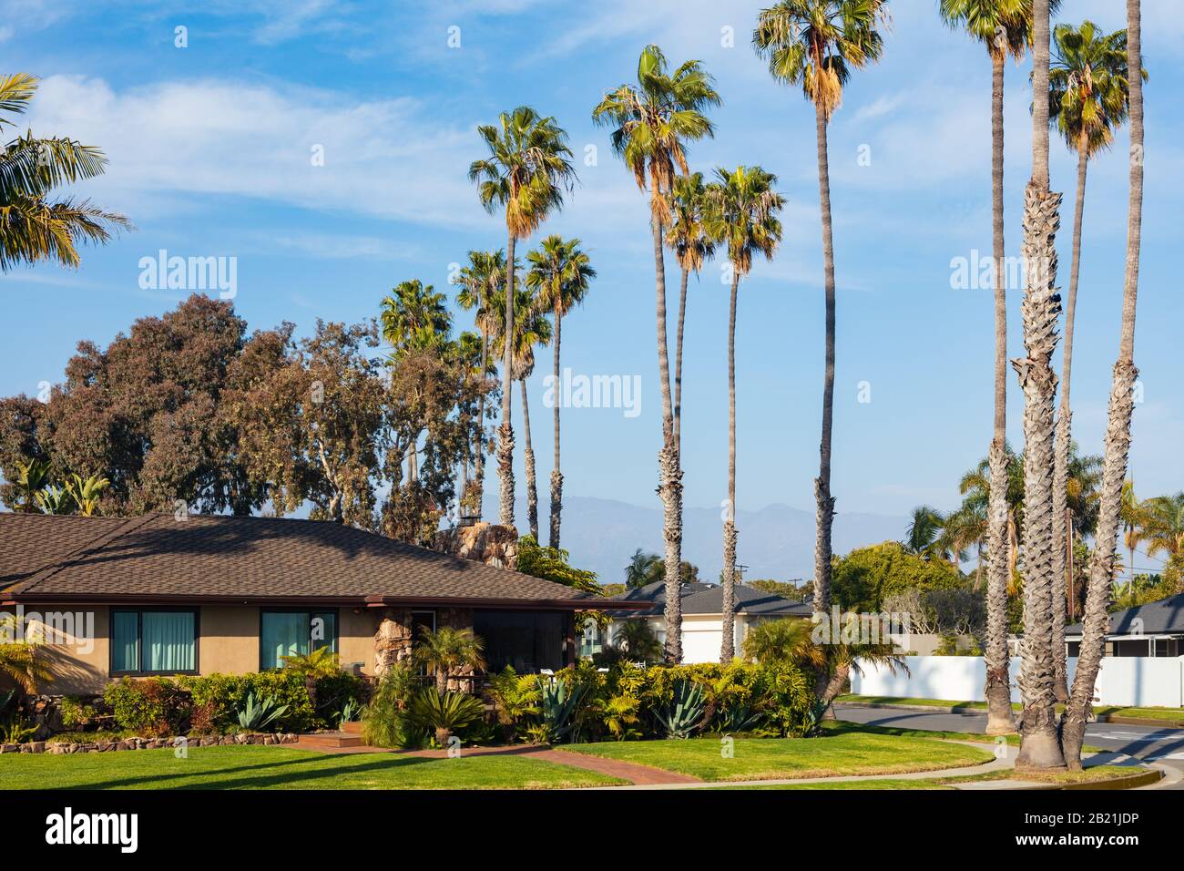 California Home Landschaftsbau an einer Straßenecke mit hohen Palmen entlang der Straße. Im Februar 2020 aus einem öffentlichen Raum übernommen. Stockfoto