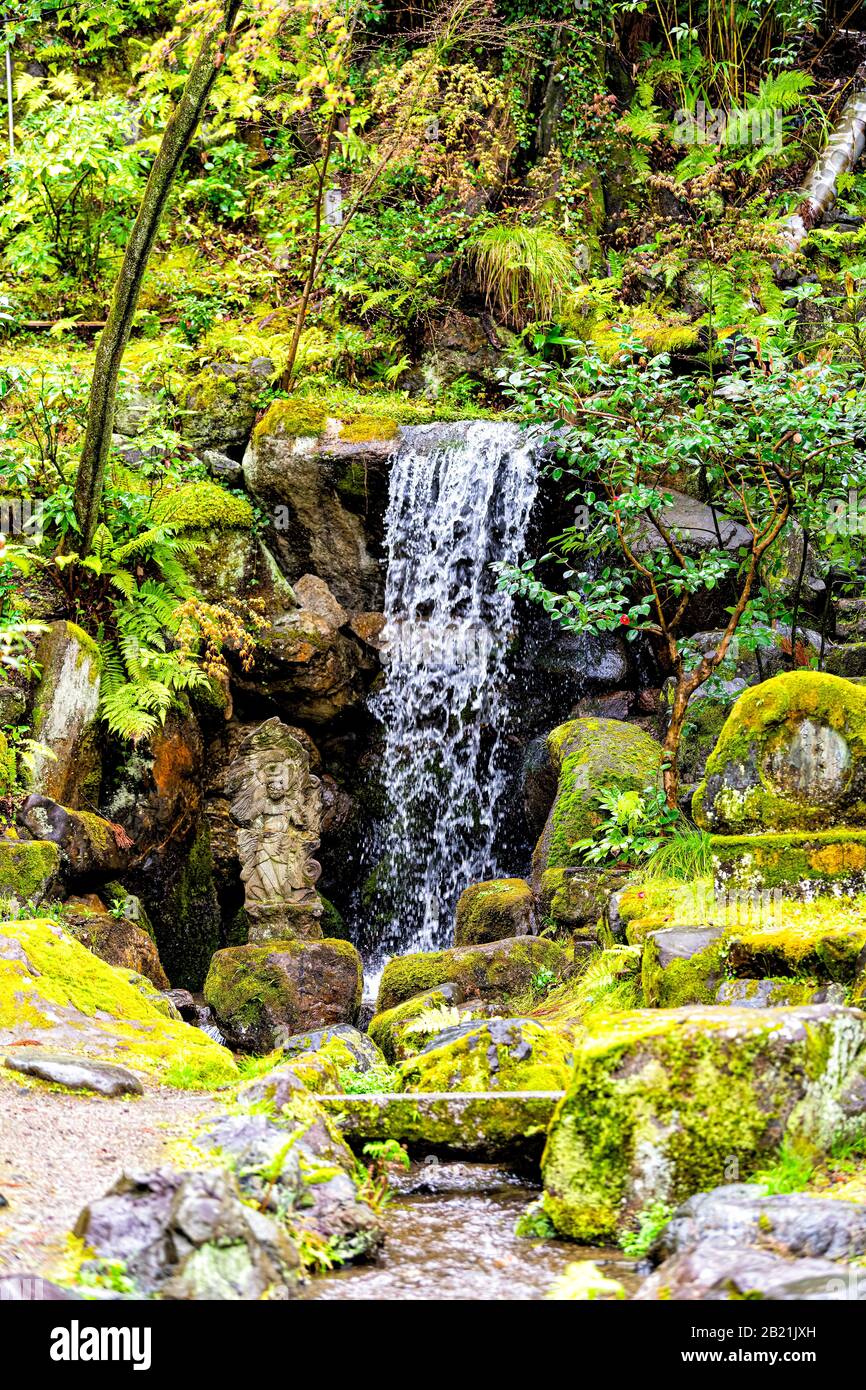Eikando-Tempel-Steinmoos-Garten in Kyoto, Japan im frühen Frühling mit kleinem Fluss-Bach-Wasserfall Stockfoto