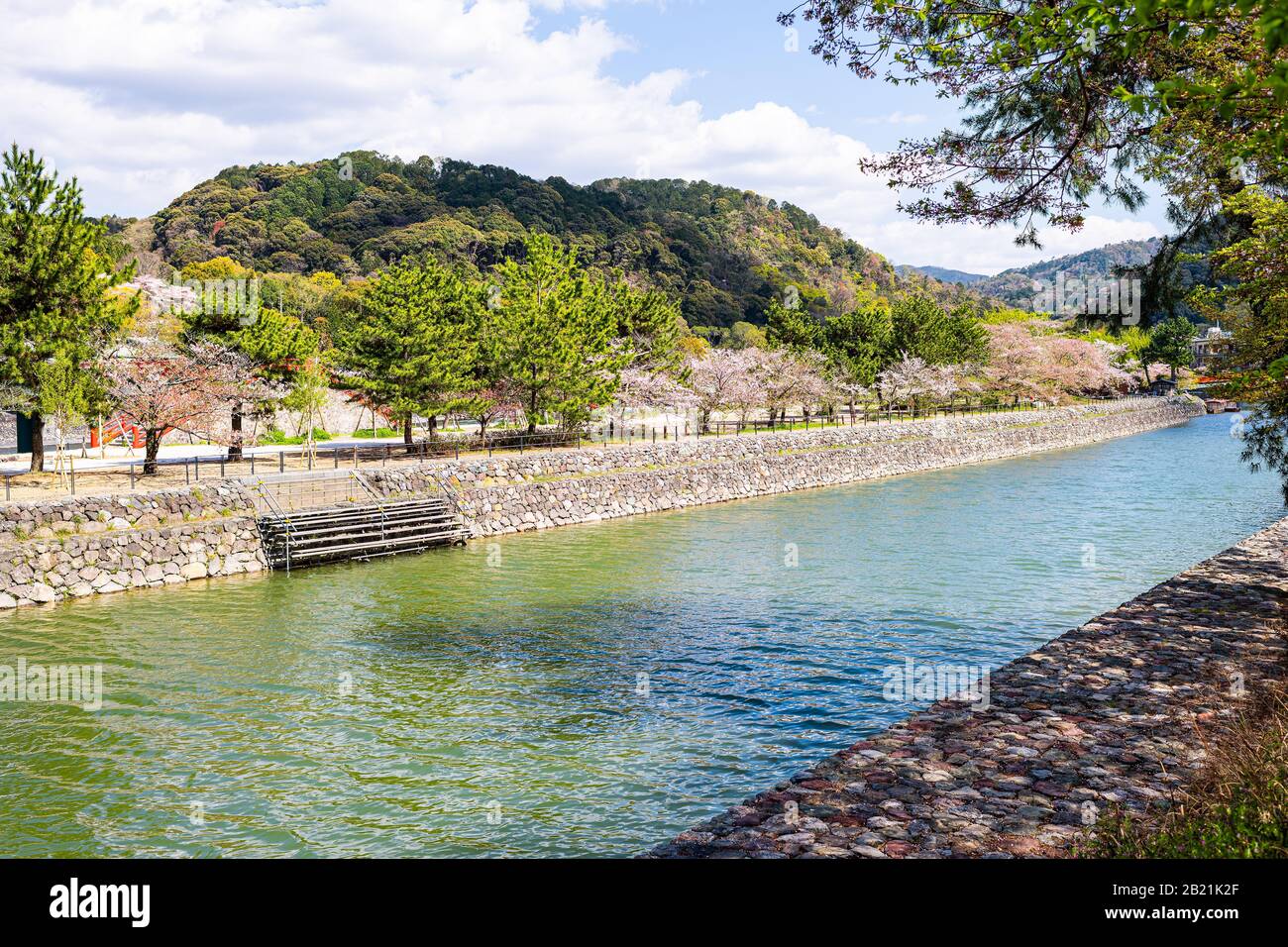 Traditionelles Dorf mit vielen Kirschblütenbäumen entlang des Flusses am sonnigen Tag im Frühling in Uji, Japan Stockfoto