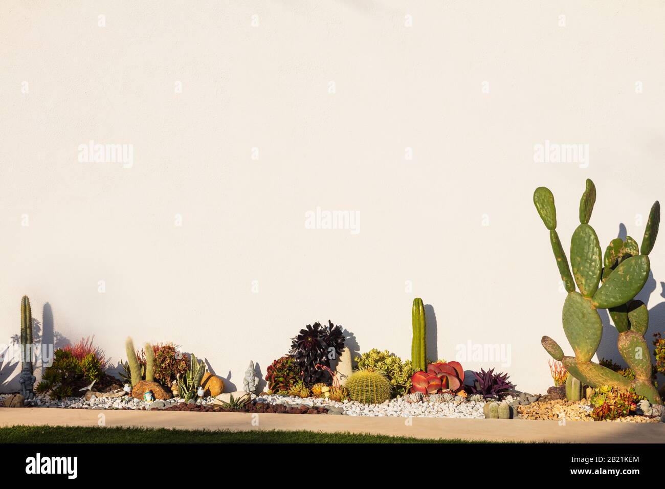 Kalifornische Gartenwand mit individueller Landschaftsgestaltung und abwechslungsreichen, dürrungstoleranten Pflanzen für Inspiration und Planung. Im Februar aus einem öffentlichen Raum genommen Stockfoto