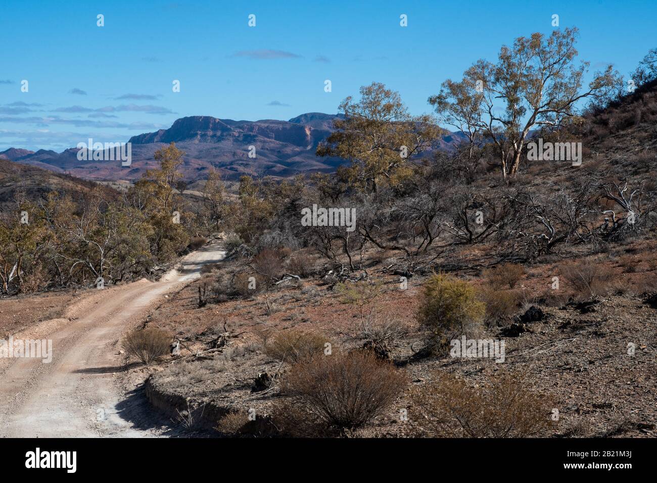 Gammon ranges national park -Fotos und -Bildmaterial in hoher Auflösung ...
