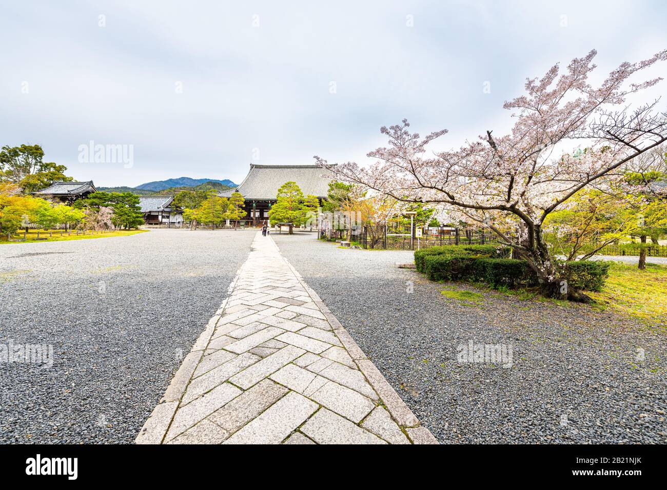 Kyoto, Japan - 12. April 2019: Seiryoji-Tempel-Zen-Felseneingang in Arashiyama mit Innenhof und Steinpfad mit Kirschblütenbaum im Frühjahr Stockfoto