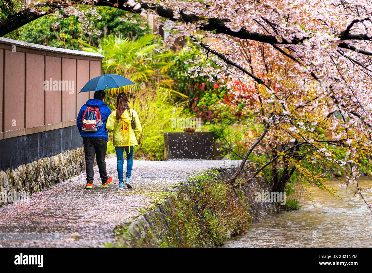 Kyoto, Japan - 10. April 2019: Gion District mit Kirschblüten-Sakura im Frühjahr mit blühenden Blumen im Gartenpark und Shirakawa River mit Paar Stockfoto
