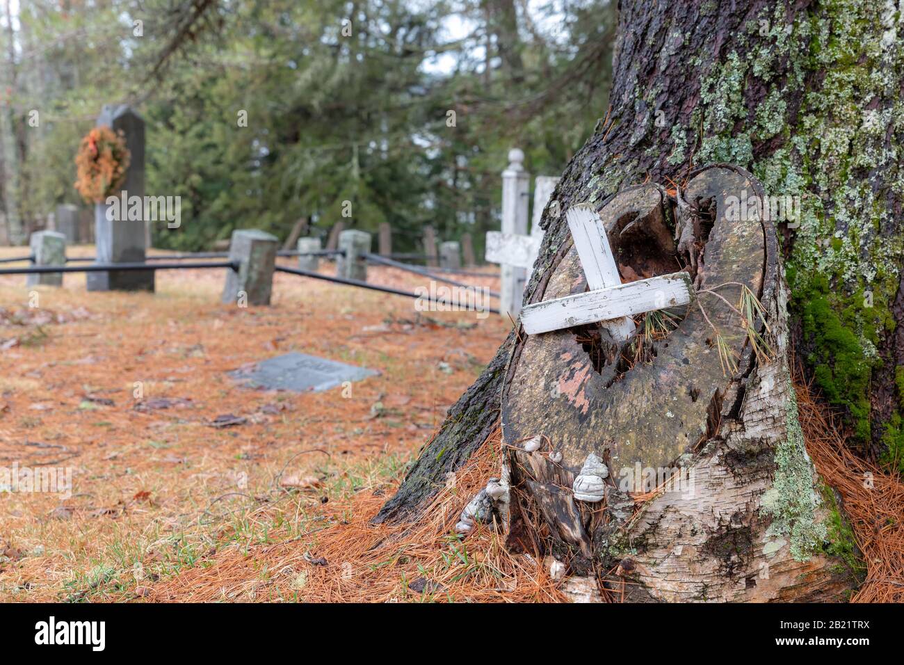 Ein kleines weißes Grabkreuz in einem Baumstumpf. Der Stumpf wird schräg mit einem Loch darin geschnitten. Ein alter Friedhof steht im Hintergrund. Stockfoto