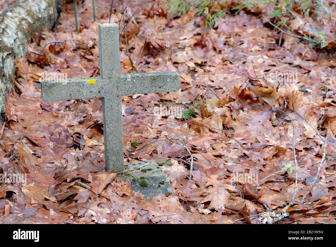 Ein kleines steinernes Grabkreuz, das von abgestorbenen Blättern umgeben ist. Weitere Grabmarker sind nicht vorhanden. Stockfoto