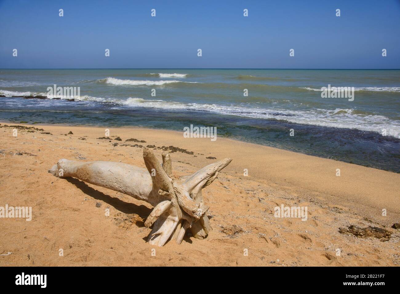 Blick auf Punta Gallinas, die Nordspitze Südamerikas, Guajira Halbinsel, Kolumbien Stockfoto