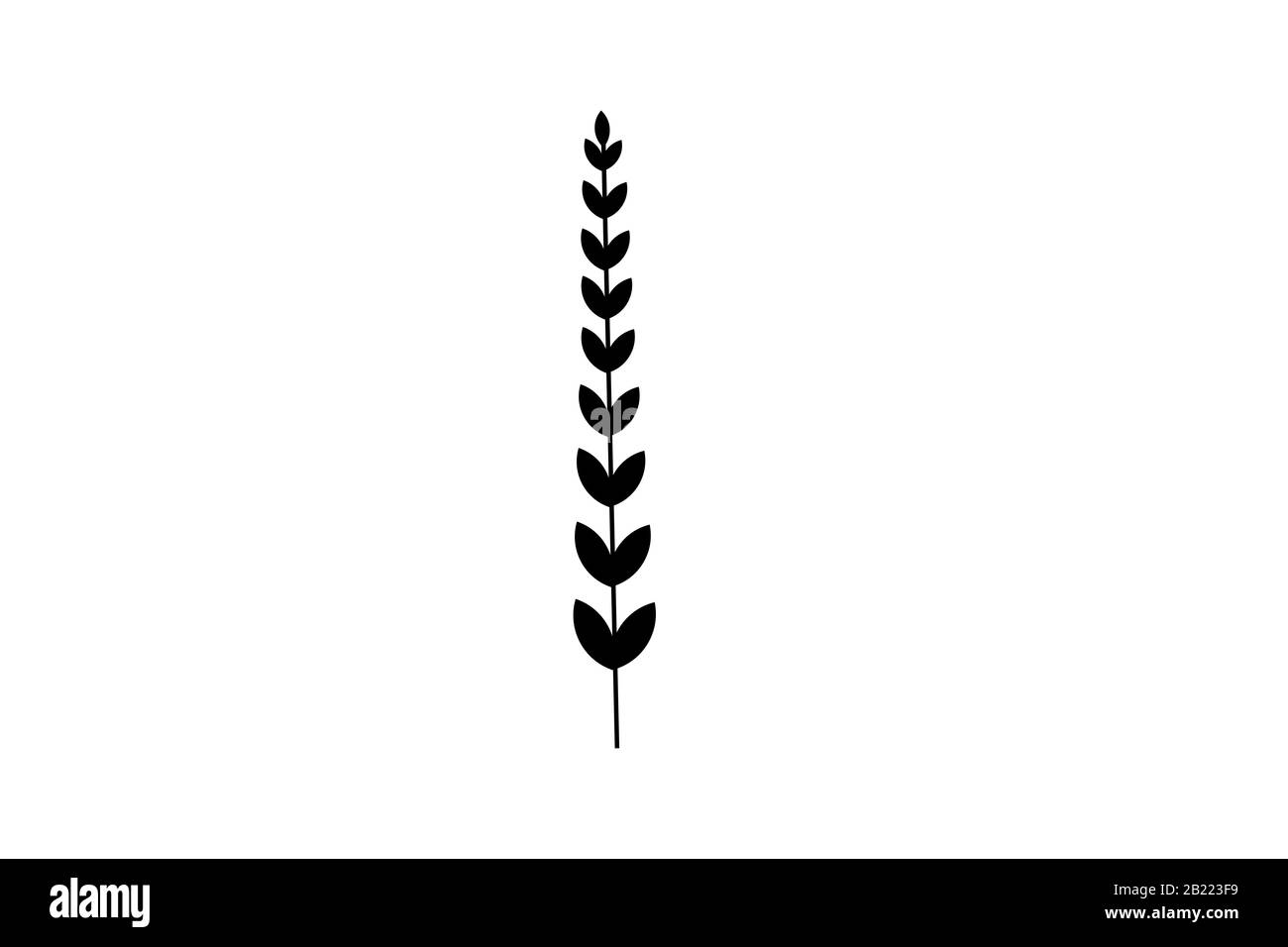 Weizenähren Symbole und Logo. Für die Identität der natürlichen Produkt Unternehmen und landwirtschaftlichen Unternehmen. Bio Weizen, Brot Landwirtschaft und natürliche Essen. Stockfoto