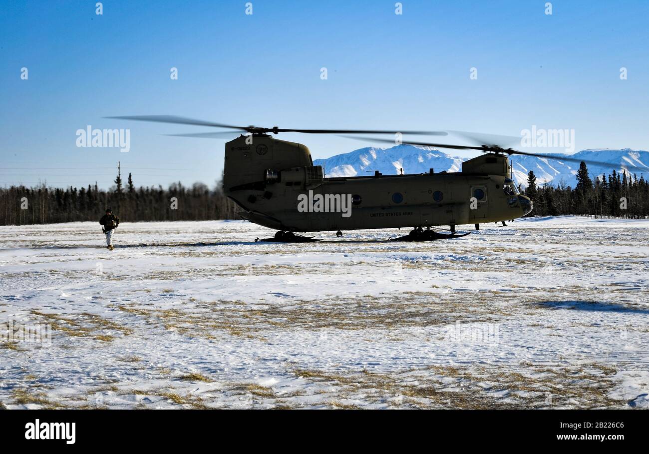 US-Marines und Armeeangehörige nehmen an der Übung Arctic Edge 20 des U.S. Northern Command auf der Intermediate Staging Base, Fort Greely, Alaska, 24. Februar 2020 Teil. Arctic Edge ist eine zweijährige US-amerikanische Übung zur Verteidigung der Heimatwelt des Northern Command, die für ein qualitativ hochwertiges und effektives Training unter extremen Bedingungen bei kaltem Wetter in arktischen Umgebungen entwickelt wurde. (USA Luftwaffenfoto des Personals Sgt. Diana Cossaboom) Stockfoto