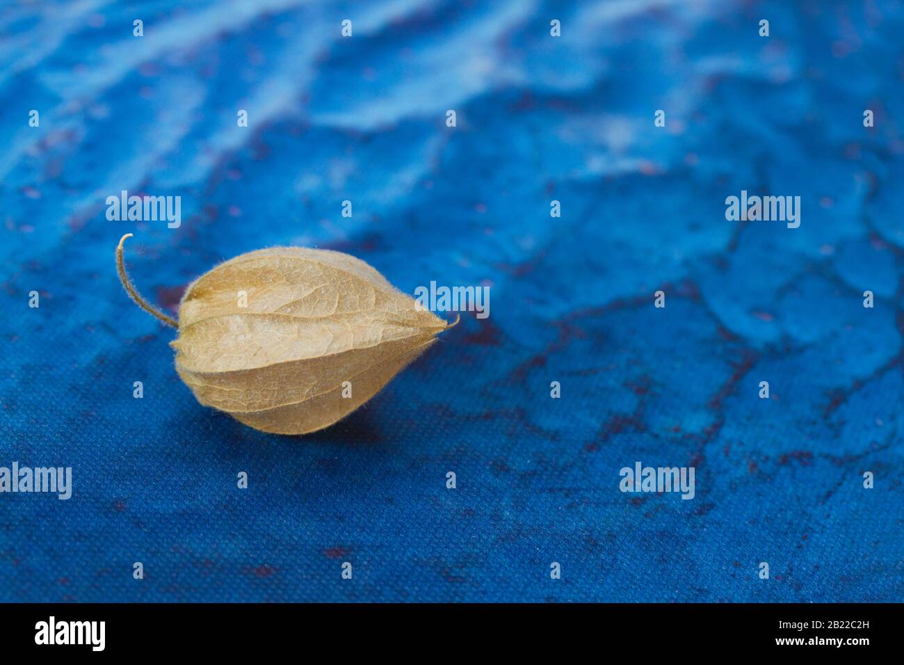 blattgold-herz auf klassischem blauem Hintergrund Stockfoto