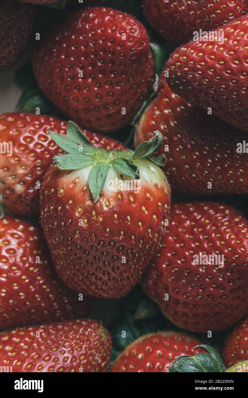 Viele rote Erdbeeren fruchtigen Hintergrund Stockfoto
