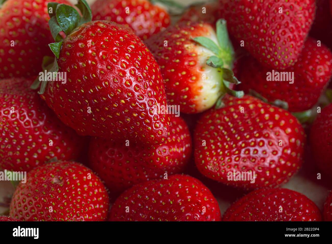 Viele rote Erdbeeren fruchtigen Hintergrund Stockfoto