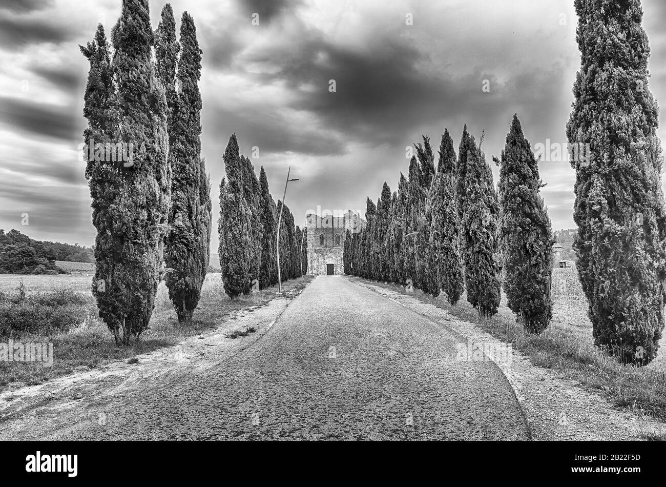 Chiusdino, ITALIEN - 22. JUNI: Landschaftlich schöne Straße mit Zypressenbäumen, die zur berühmten Abtei von San Galgano in der Stadt Chiusdino führt Stockfoto