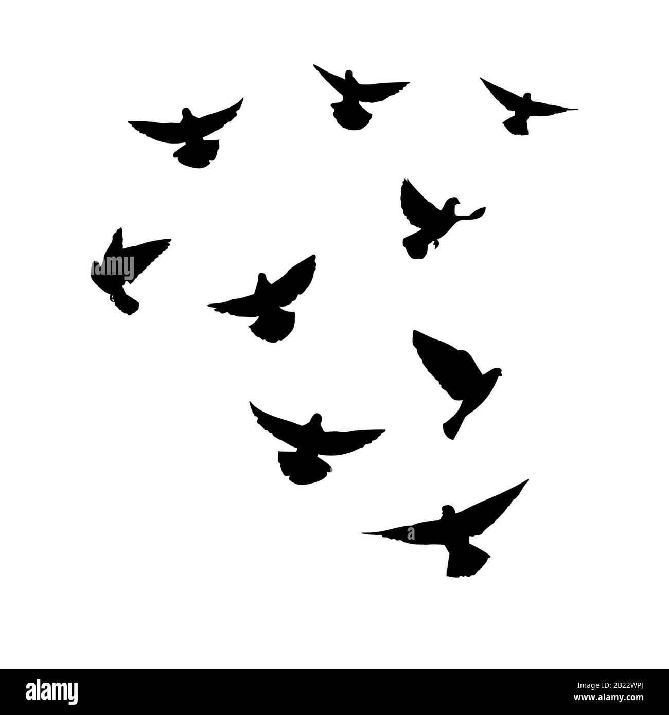 Tauben fliegen. Silhouette von Tauben, die auf weißem Hintergrund fliegen. Vektorgrafiken Stock Vektor